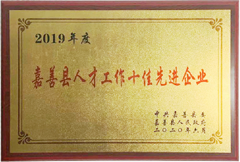 2019 Topp tio avancerade företag i Jiashan County Talent Work